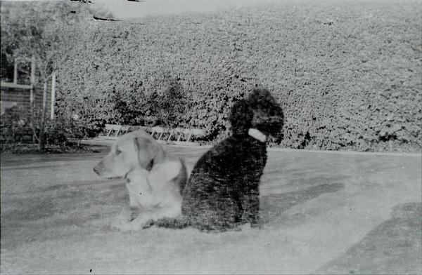 album Ilford HP3 - South Australia